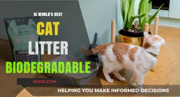 Is the World's Best Cat Litter Truly Biodegradable? Exploring Eco-Friendly Pet Care Options