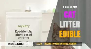 Is the World's Best Cat Litter Edible? Uncovering the Truth About Safety and Ingredients