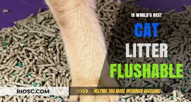 Is the World's Best Cat Litter Flushable? A Comprehensive Guide to Safe Disposal