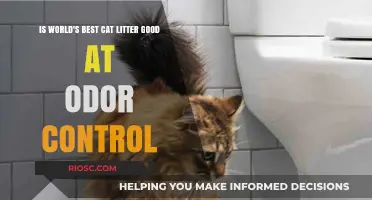 World's Best Cat Litter: Does It Truly Deliver on Odor Control?