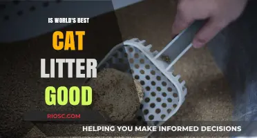 Is World's Best Cat Litter Worth the Hype? A Comprehensive Review