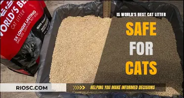 Is World's Best Cat Litter Safe for Cats? A Comprehensive Review of Ingredients and Health Impact