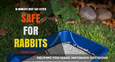 Is World's Best Cat Litter Safe for Rabbits? A Comprehensive Guide to Pet-Friendly Litter Options