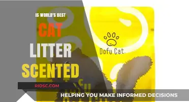 Is the World's Best Cat Litter Scented? Uncovering the Truth Behind Odor Control