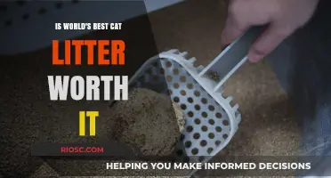 Is World's Best Cat Litter Worth the Hype? A Comprehensive Review
