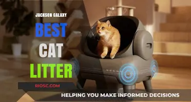 Jackson Galaxy's Top Pick: The Ultimate Cat Litter for Happy and Healthy Felines