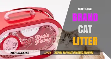 Why Kenny's Best Brand Cat Litter is the Top Choice for Pet Owners