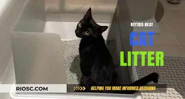 Why Kitties Best Cat Litter is the Purr-fect Choice for Your Feline Friend
