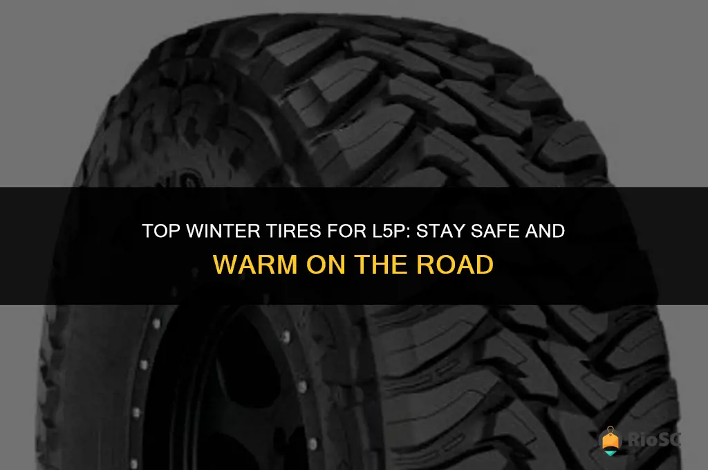 l5p best winter tires