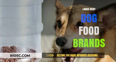 Top-Rated Dog Food Brands: A Comprehensive Guide for Pet Owners
