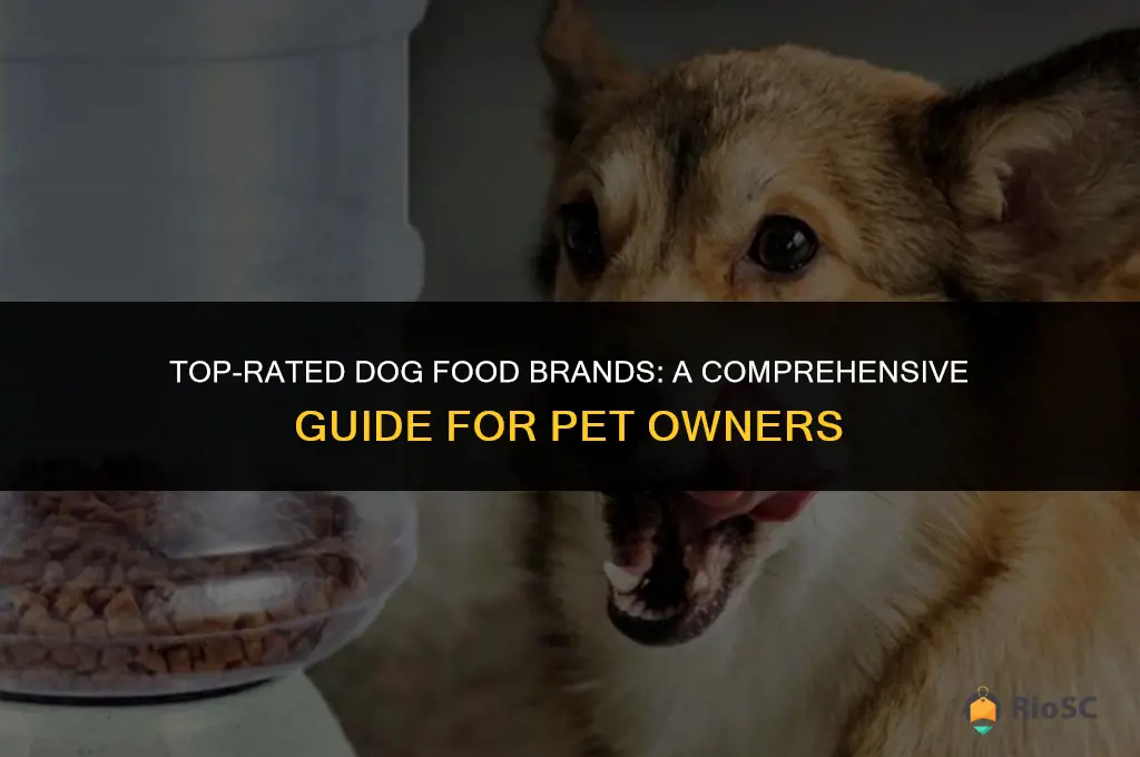 large best dog food brands
