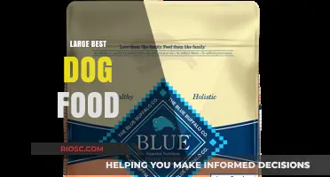 Top-Rated Large Breed Dog Foods: Nutrition and Taste Combined