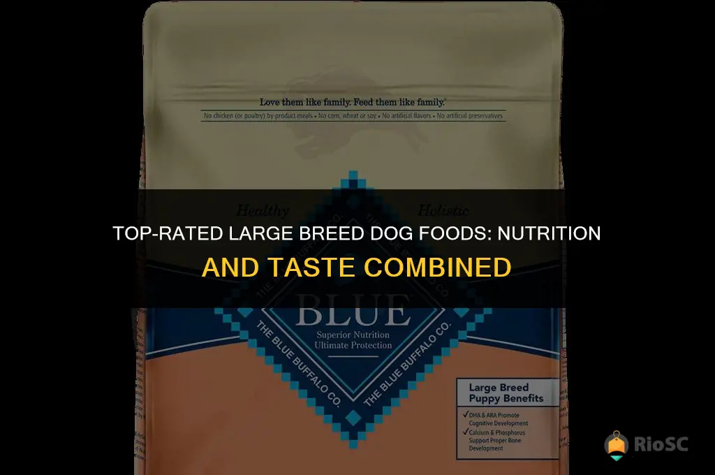 large best dog food