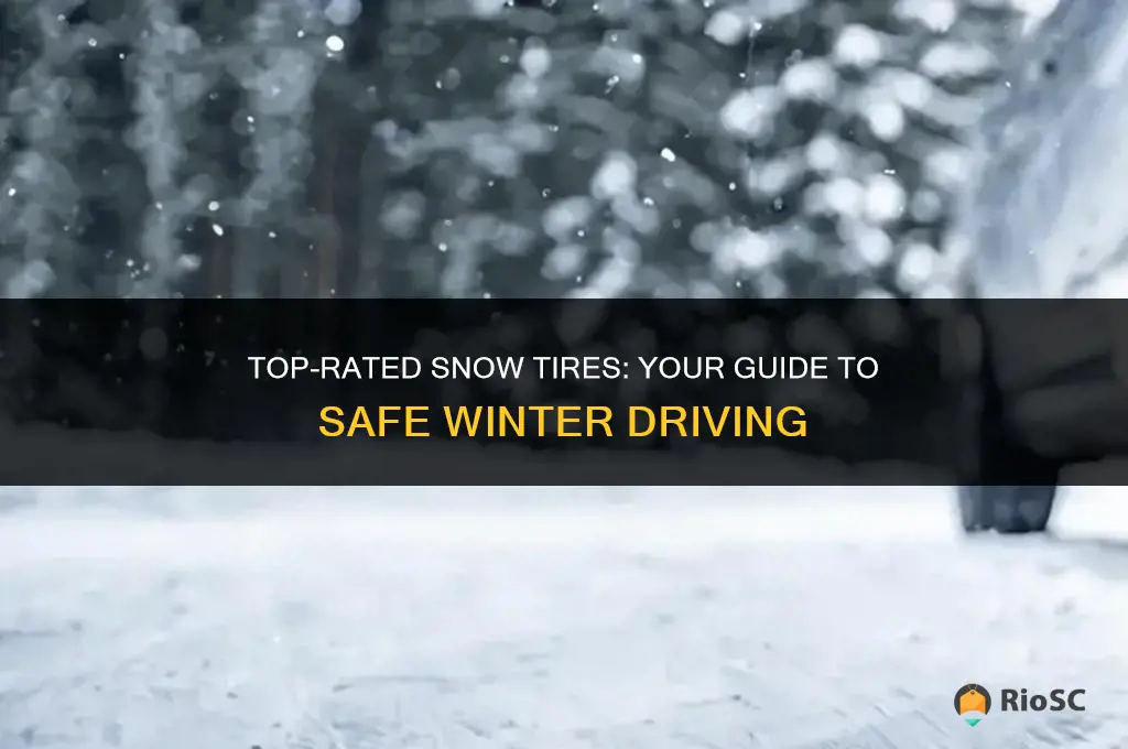 list of best snow tires