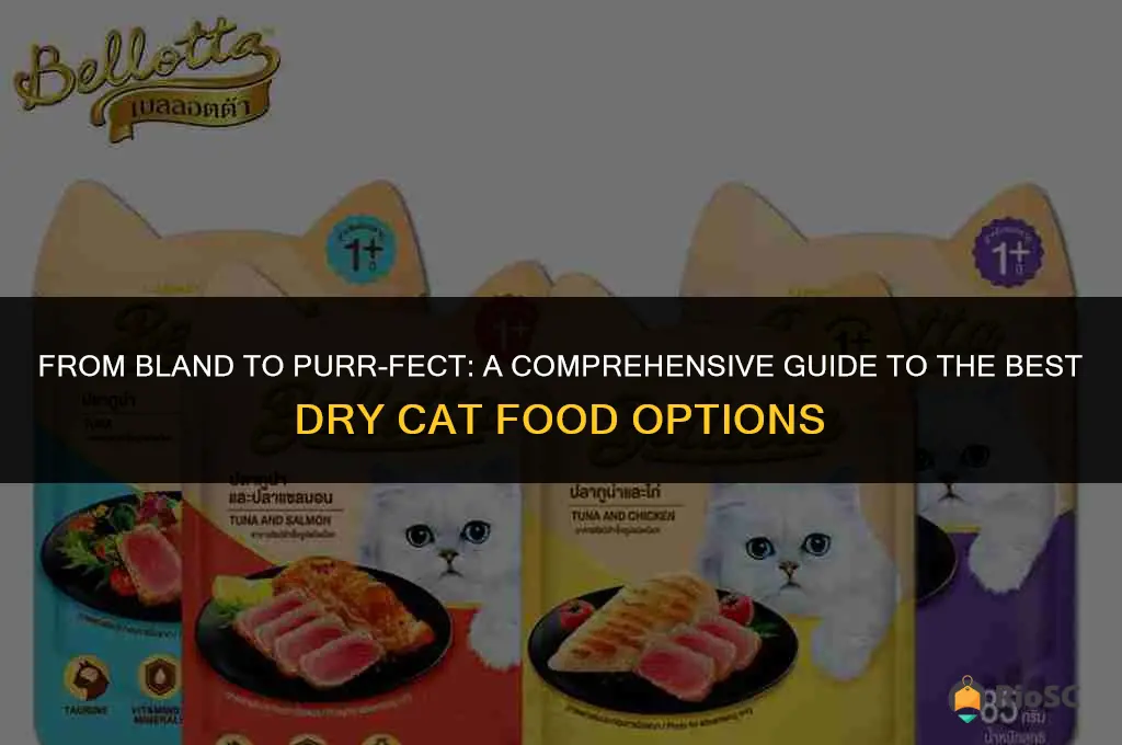 list of worst to best dry cat food