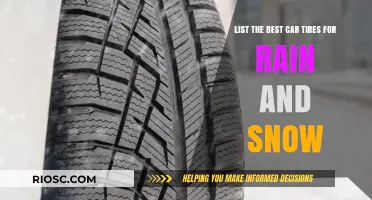 Top Picks for All-Weather Tires: Rain and Snow Performance Guaranteed
