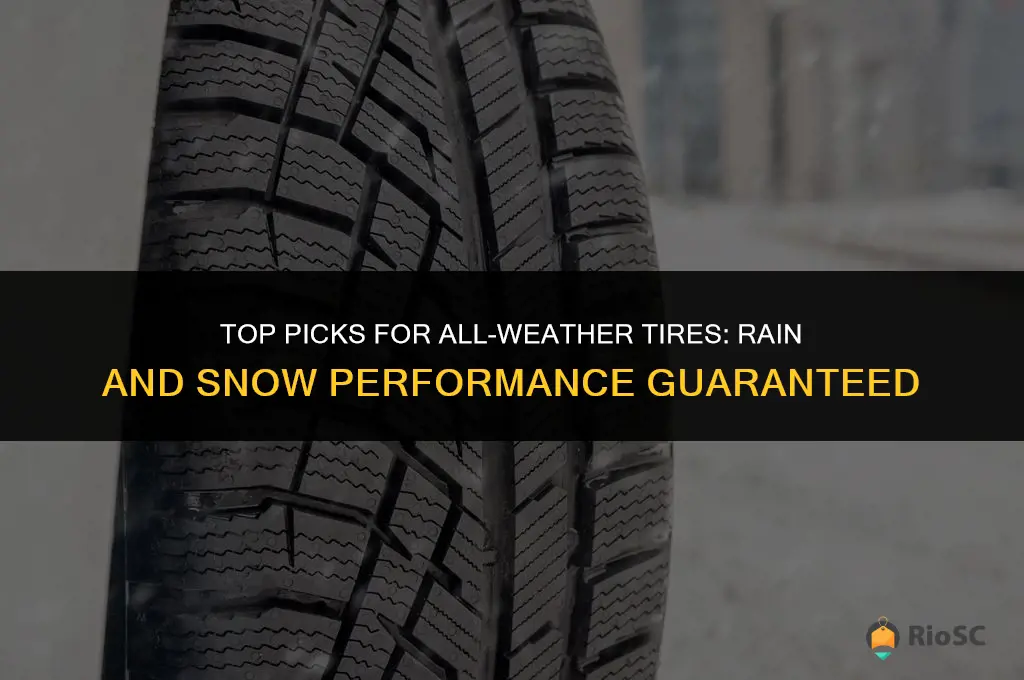 list the best car tires for rain and snow