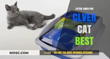 Top Litter Liners for Clever Cats: Enhance Your Feline’s Litter Box Experience