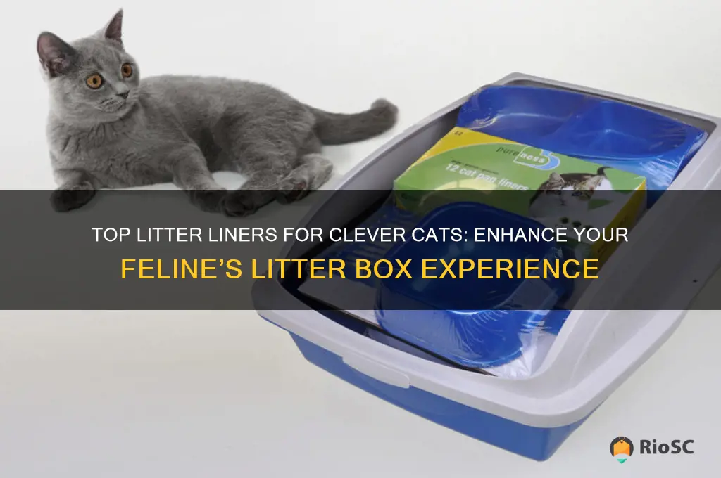 litter liner for clver cat best