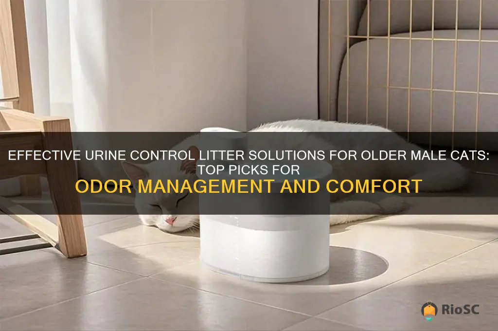 litter older male cat best urine contol litter
