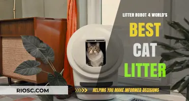 Revolutionize Your Cat Care: Litter Robot 4 Meets World's Best Cat Litter for Ultimate Convenience