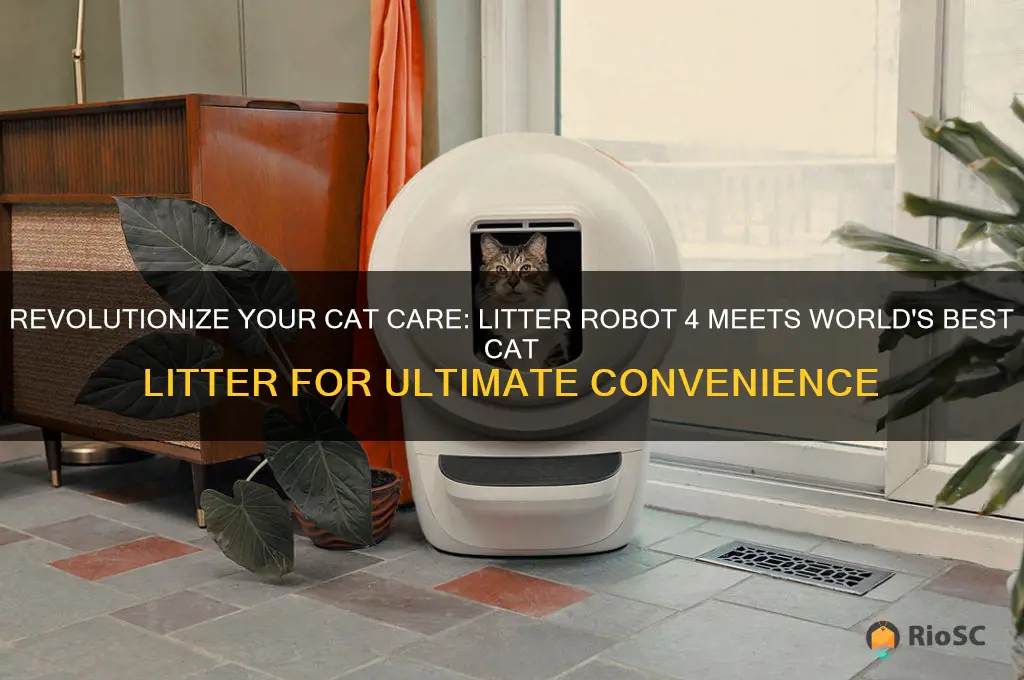 litter robot 4 world