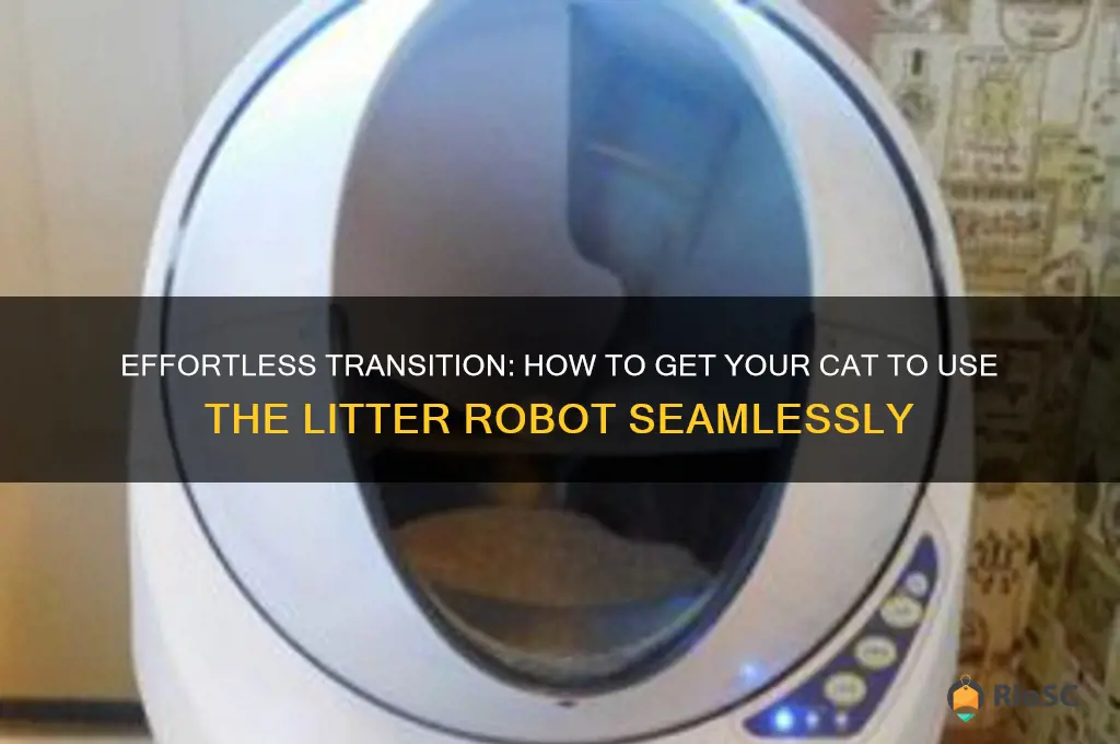 litter robot best way to get cat to use