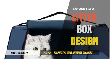 Odor-Free Living: Discover the Best Low-Smell Cat Litter Box Designs for a Fresh Home