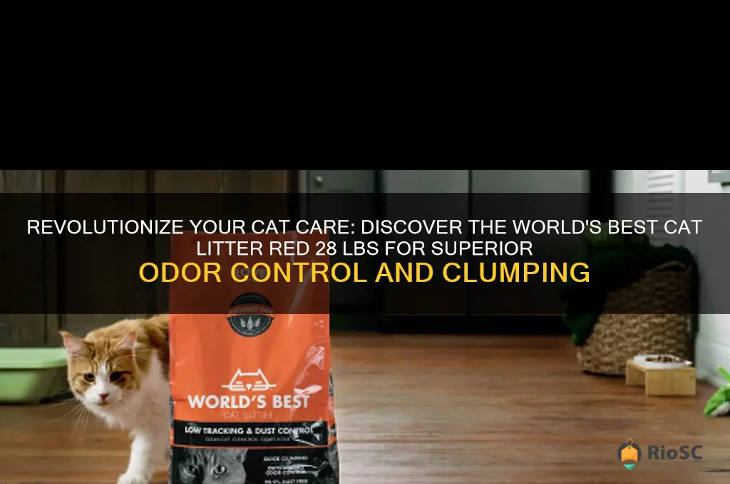 lworlds best cat litter red 28 lbs