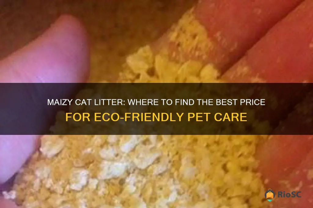 maizy cat litter best price