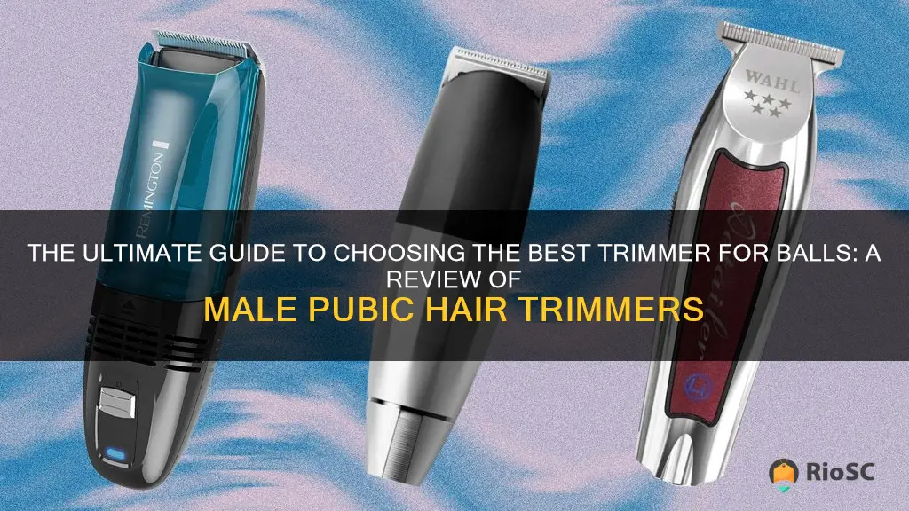 male pubic hair trimmer best trimmer for balls