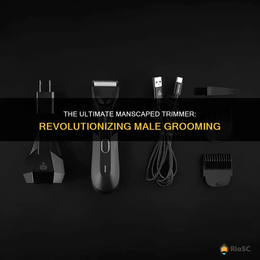 manscaped best electric manscaping groin hair trimmer