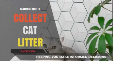 Top Materials for Eco-Friendly and Effective Cat Litter Collection