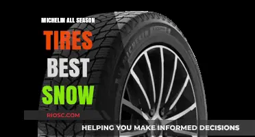 Michelin All-Season Tires: Unmatched Performance in Snowy Conditions