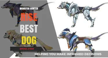 Unleash the Power: Discover the Best Canine Companion in Monster Hunter Rise