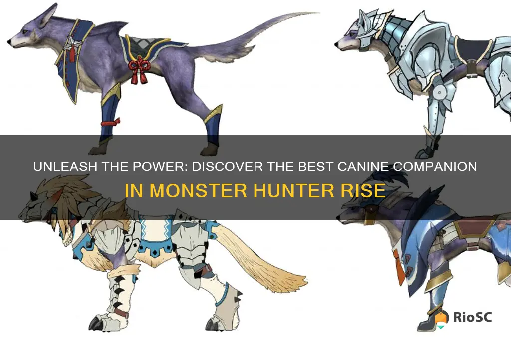 monster hunter rise best dog