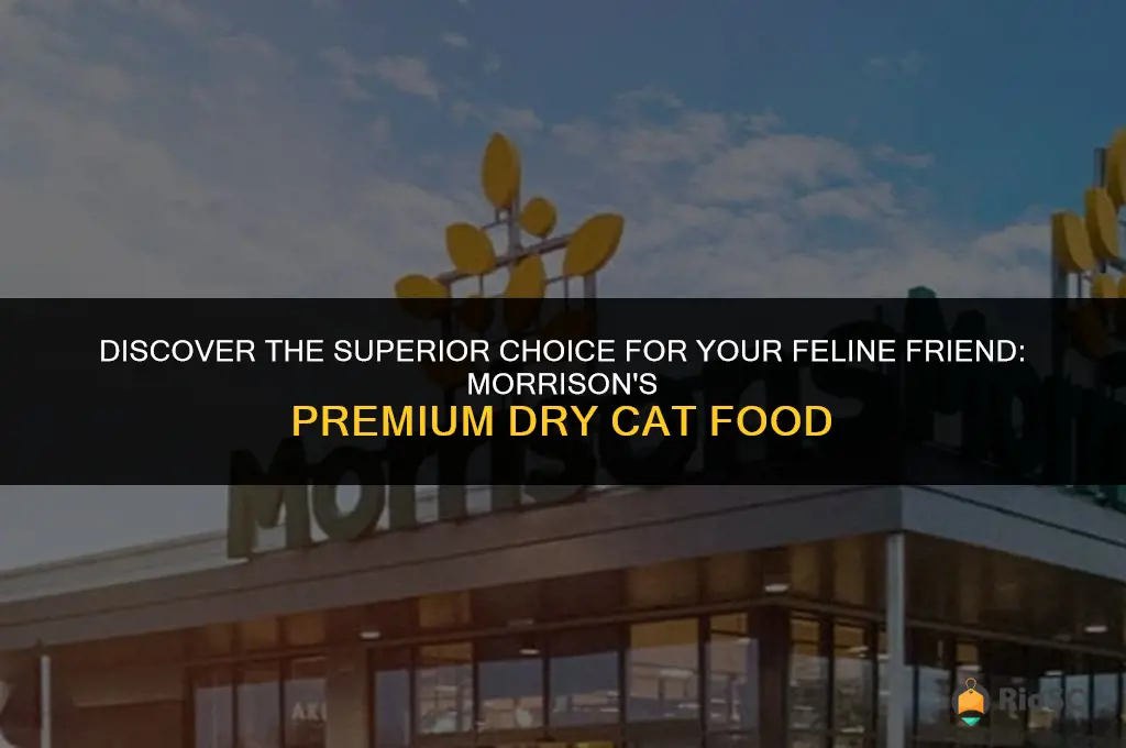 morrisons the best dry cat food