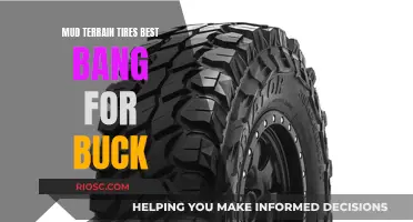 Mud-Terrain Tires: Getting the Most Grip for Your Buck