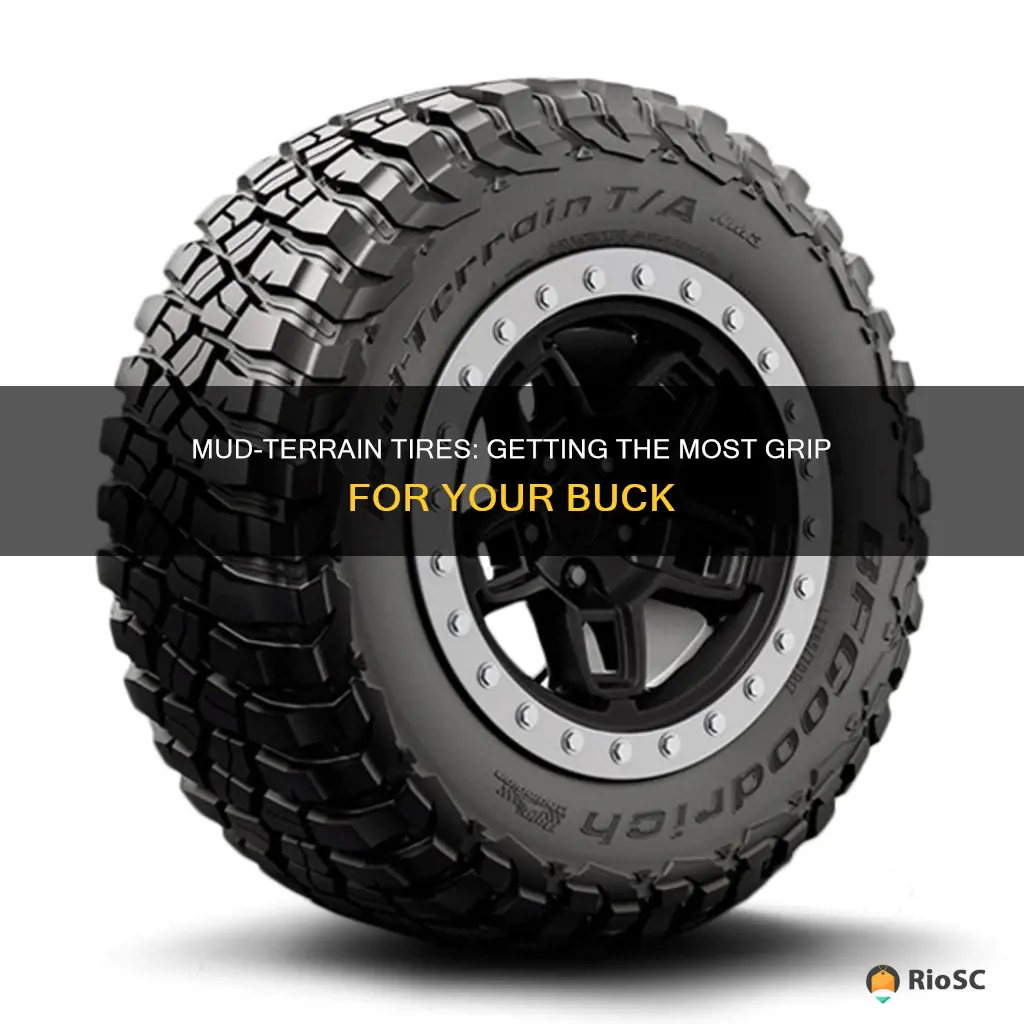 mud terrain tires best bang for buck