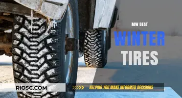 Top Picks for Winter Tires: Stay Safe on Snowy Roads with These High-Performance Options
