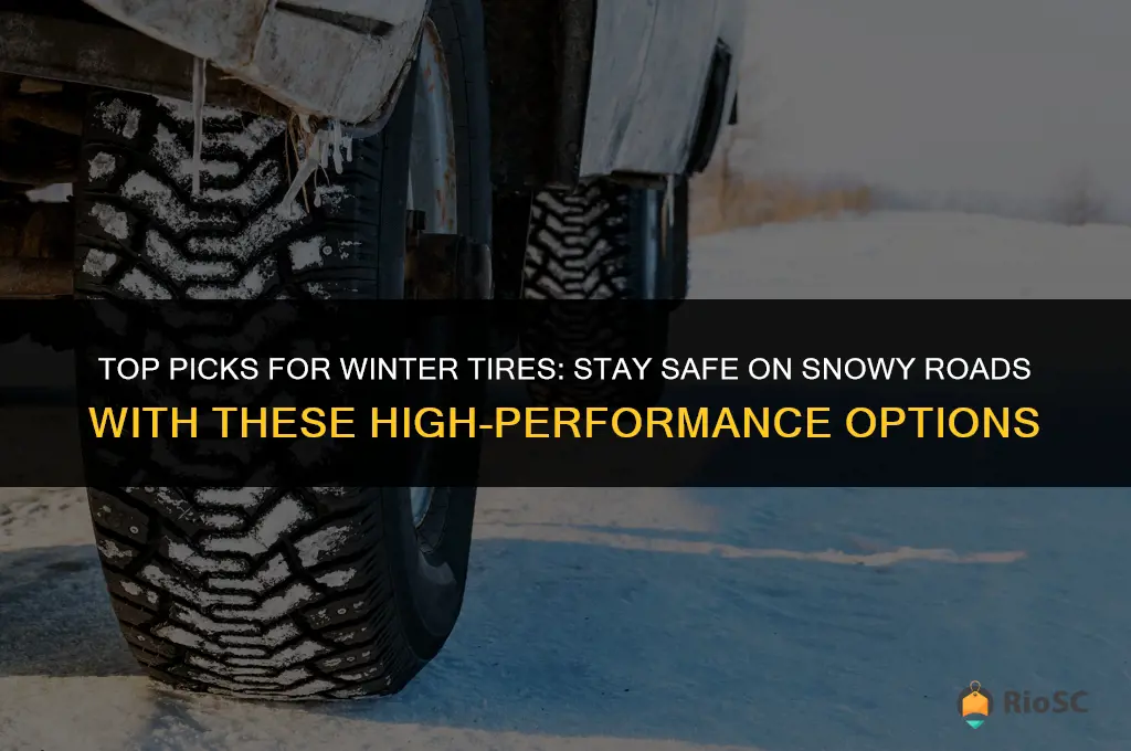 mw best winter tires
