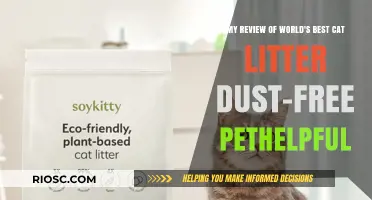 World's Best Cat Litter Review: Dust-Free and Pet-Friendly – My Honest Experience