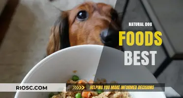 Exploring the Benefits of Natural Dog Foods: A Comprehensive Guide to the Best Options for Your Furry Friend