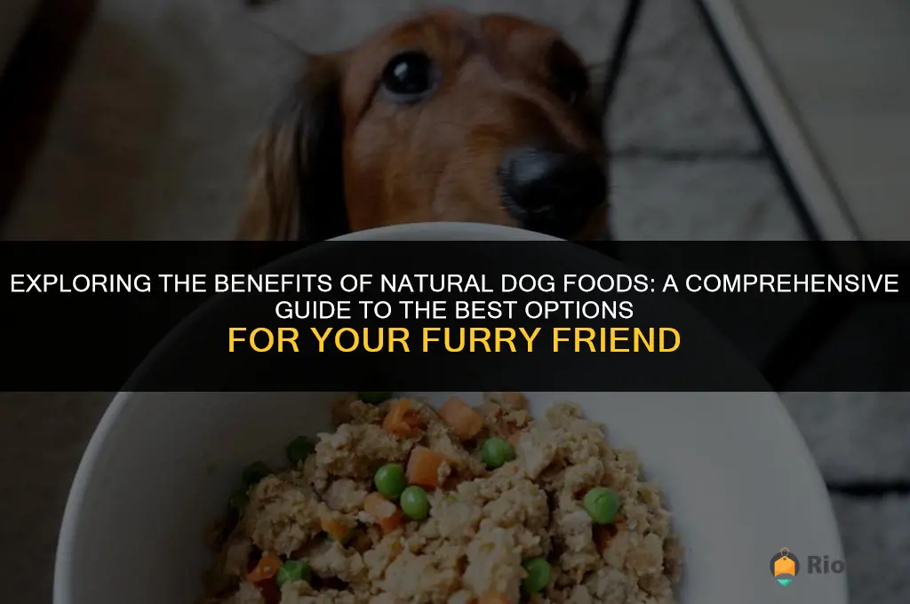 natural dog foods best
