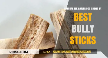 Natural Elk Antler Dog Chews: A Healthy and Durable Treat by Best Bully Sticks