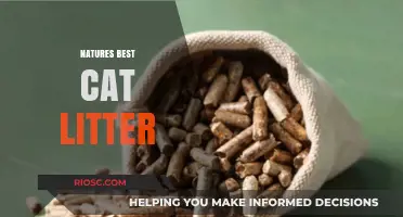 Eco-Friendly and Odor-Free: Why Nature's Best Cat Litter is a Game-Changer for Pet Owners