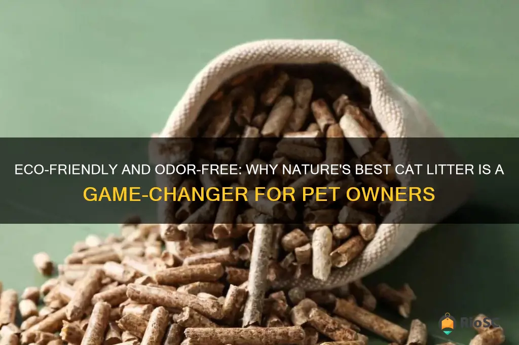 natures best cat litter