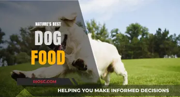 Nature's Best Dog Food: Unlocking Optimal Nutrition for Your Canine Companion