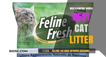 Revolutionary Non-Clumping Cat Litter: The World's Best Solution for Mess-Free Pet Care