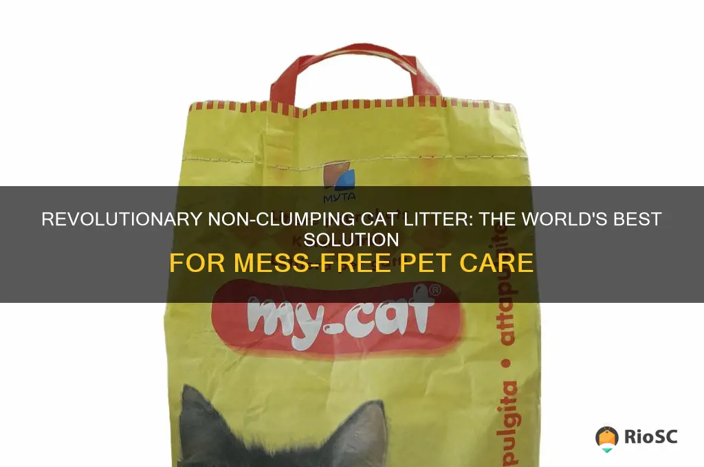 non clumping world best cat litter